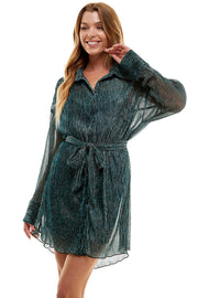 Shimmering Pleated Dress